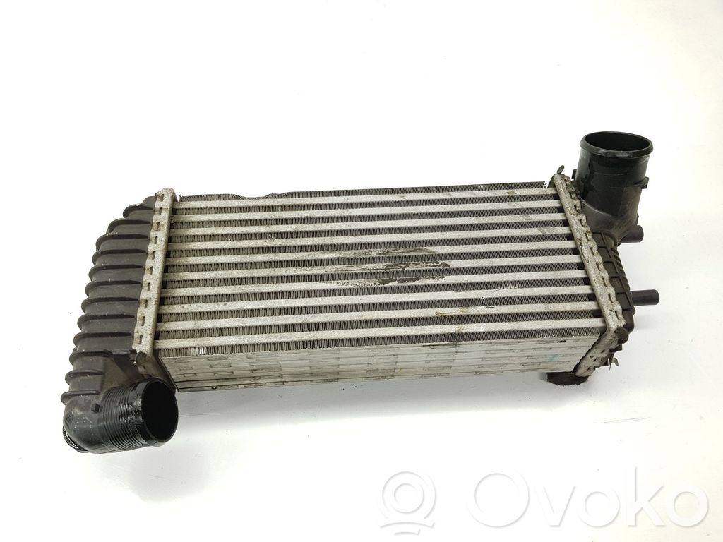 Radiador intercooler   BV619L440CJ,2027395