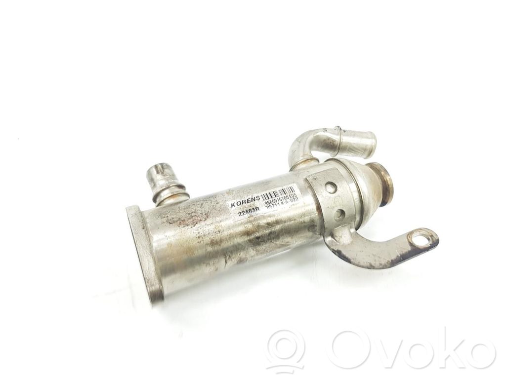 Citroen C5 EGR dzesētājs 