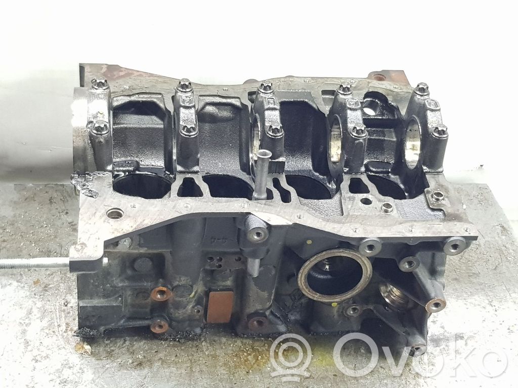 Dacia Dokker Engine block 