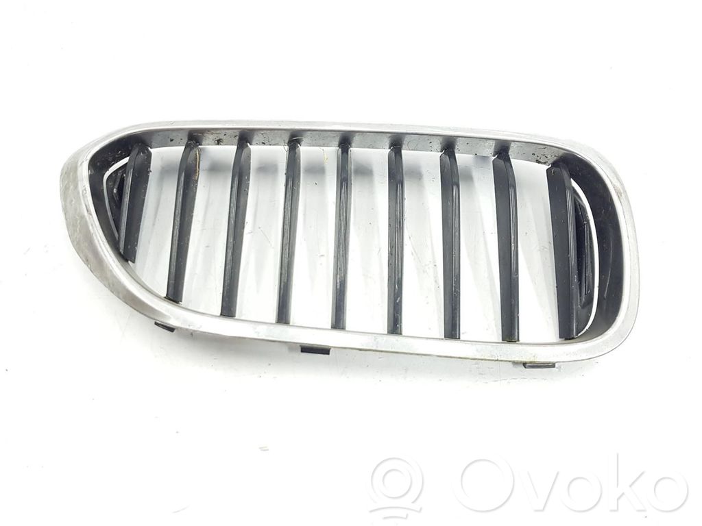 BMW 5 G30 G31 G38 Atrapa chłodnicy / Grill 