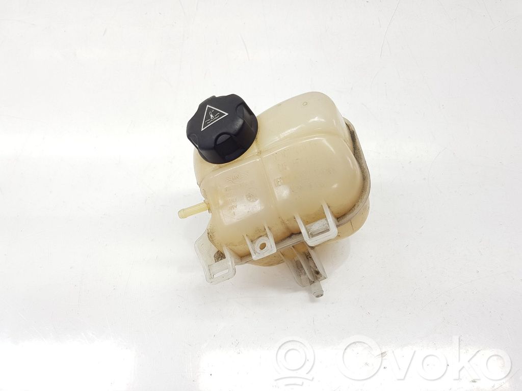 Mini Cooper Countryman R60 Vas expansiune/rezervor lichid de răcire 