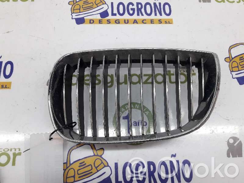 BMW 1 E81 E87 Front grill 