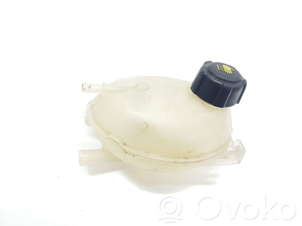 Renault Clio IV Serbatoio di compensazione del liquido refrigerante/vaschetta 