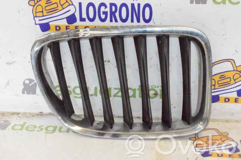 BMW X1 E84 Front grill 