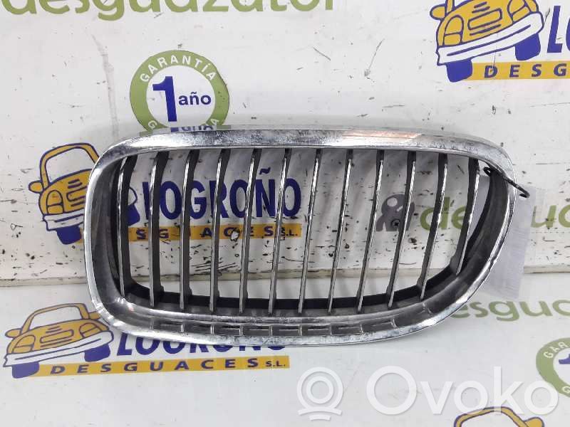 Grotelės priekinės   51137201969