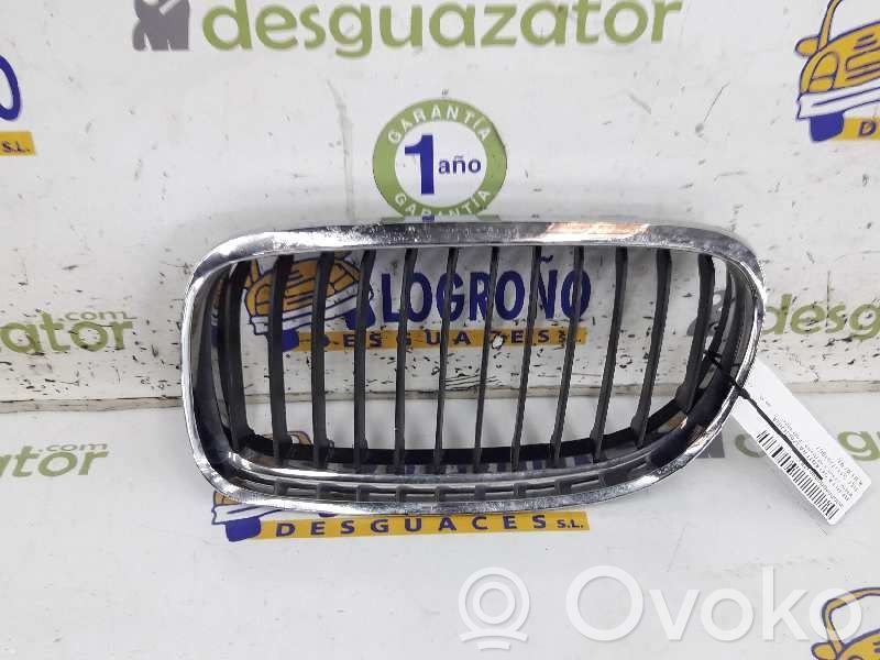 Rejilla delantera   51137201967