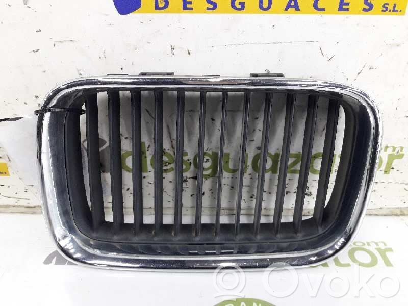Front grill   51138122237,51138122237