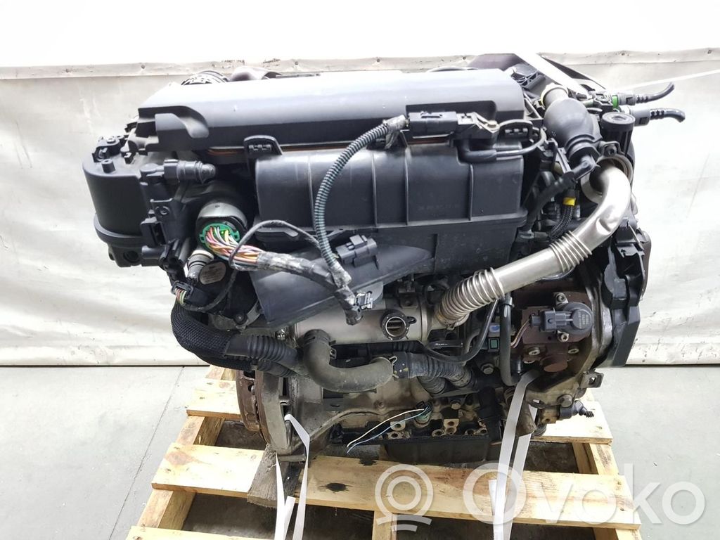 Motor   8HZ,0135FZ,1141CB