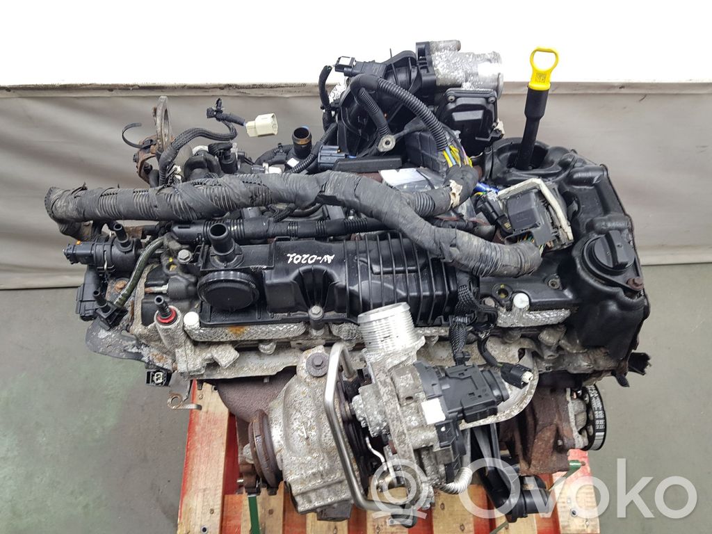 Motor   YLF6,2225MH