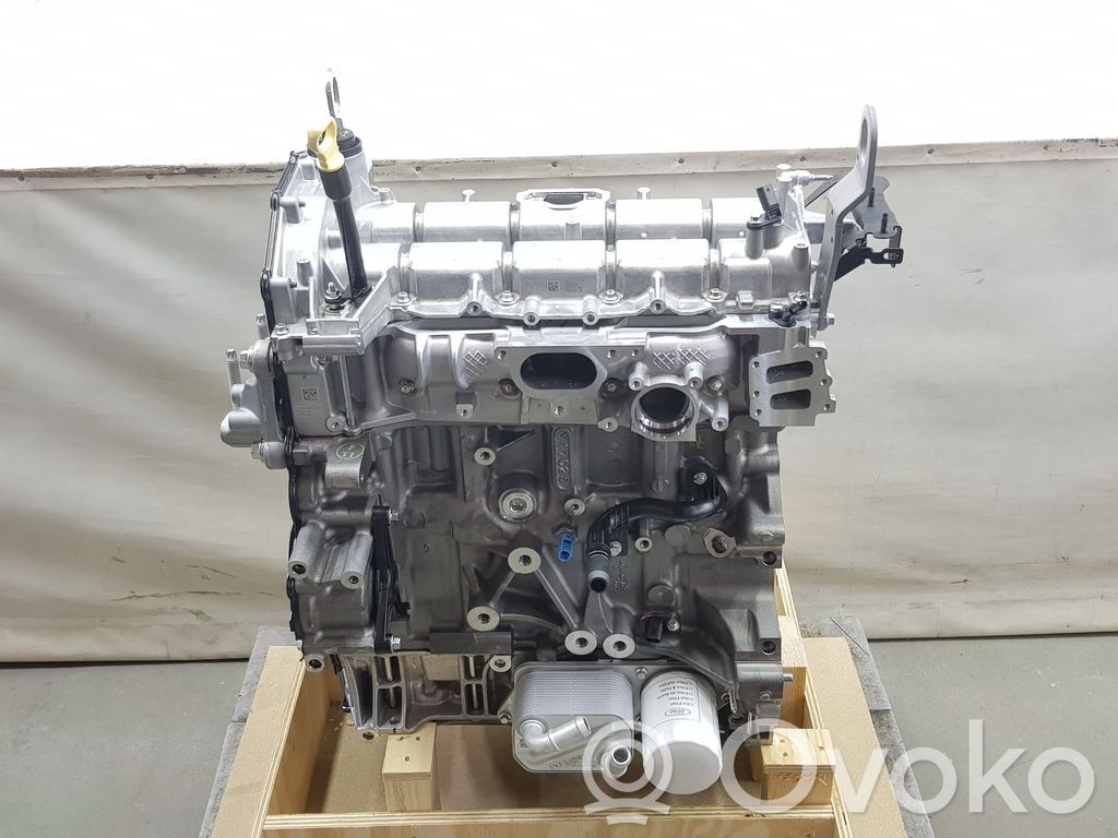 Ford Transit Motore 