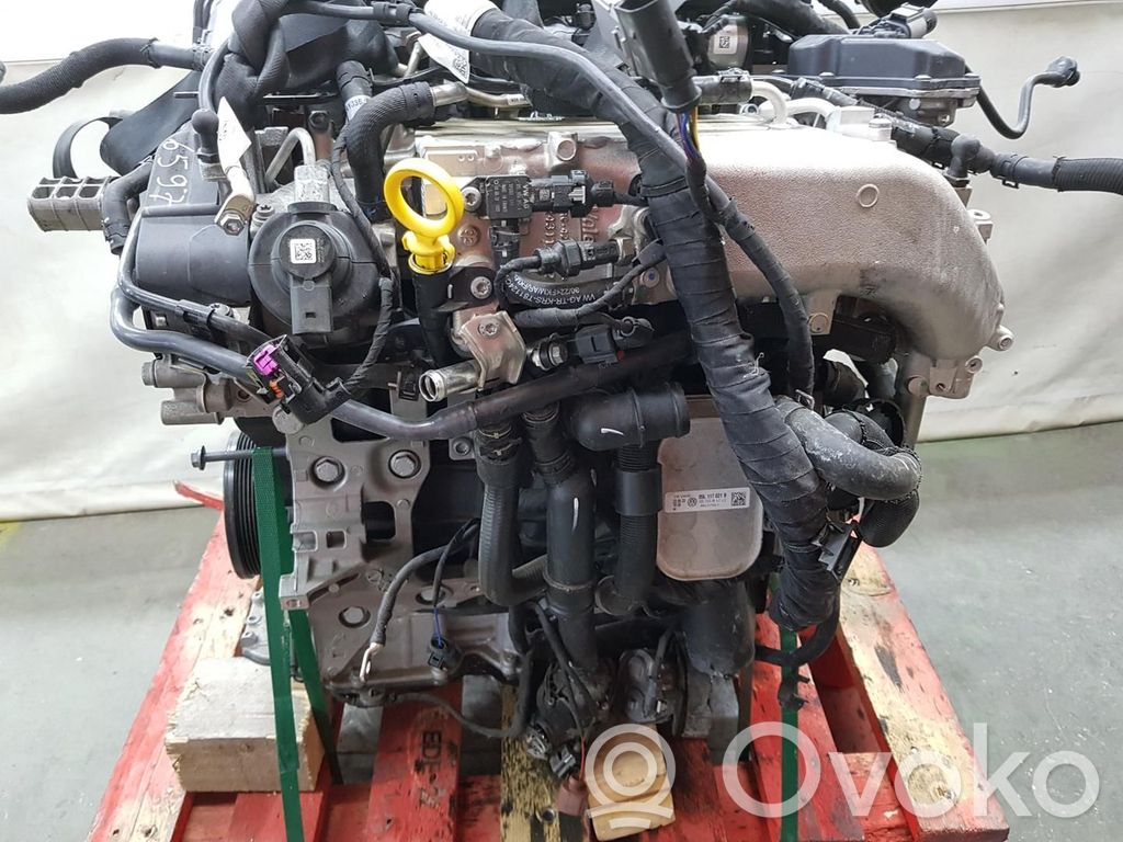 Volkswagen T-Roc Motor 