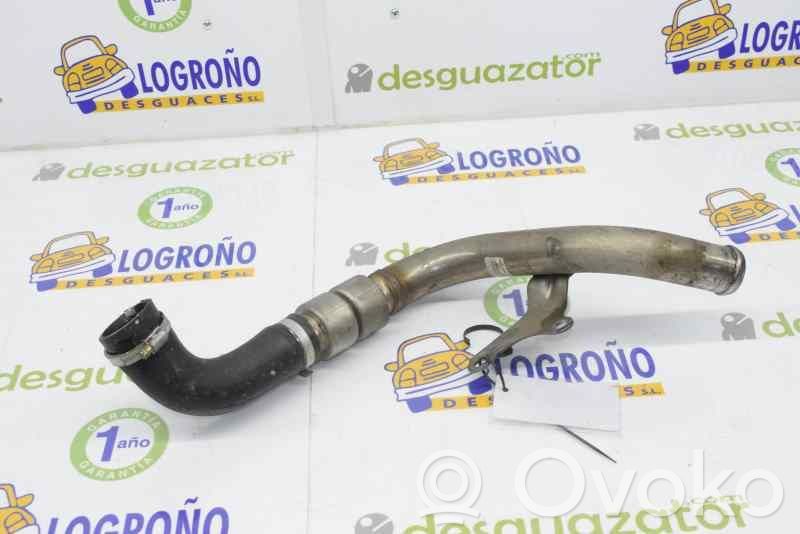 Ford Focus Interkūlerio žarna (-os)/ vamzdelis (-iai) 