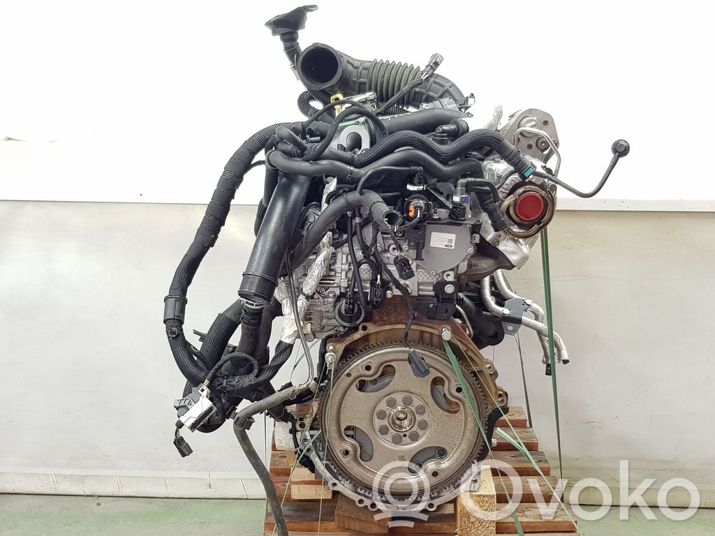 Variklis   BLFB,KK2Q6006FC