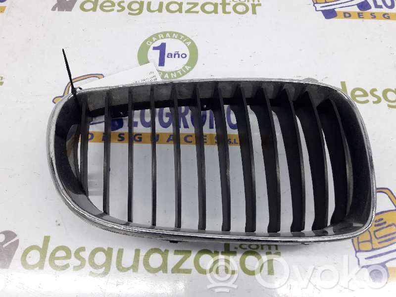 BMW 1 E81 E87 Griglia anteriore 