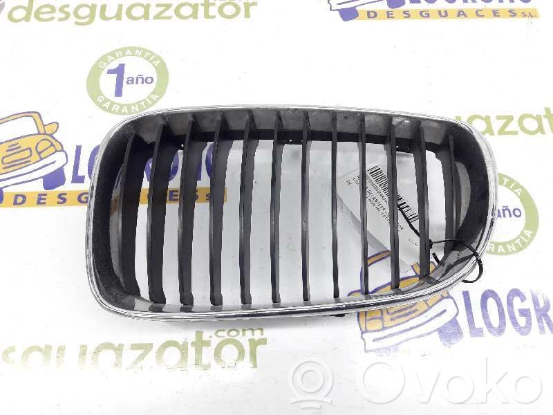 Rejilla delantera   51137166439,51137166439