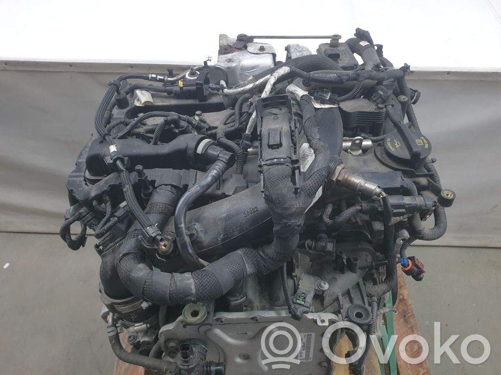 Motor   50055142,50055142