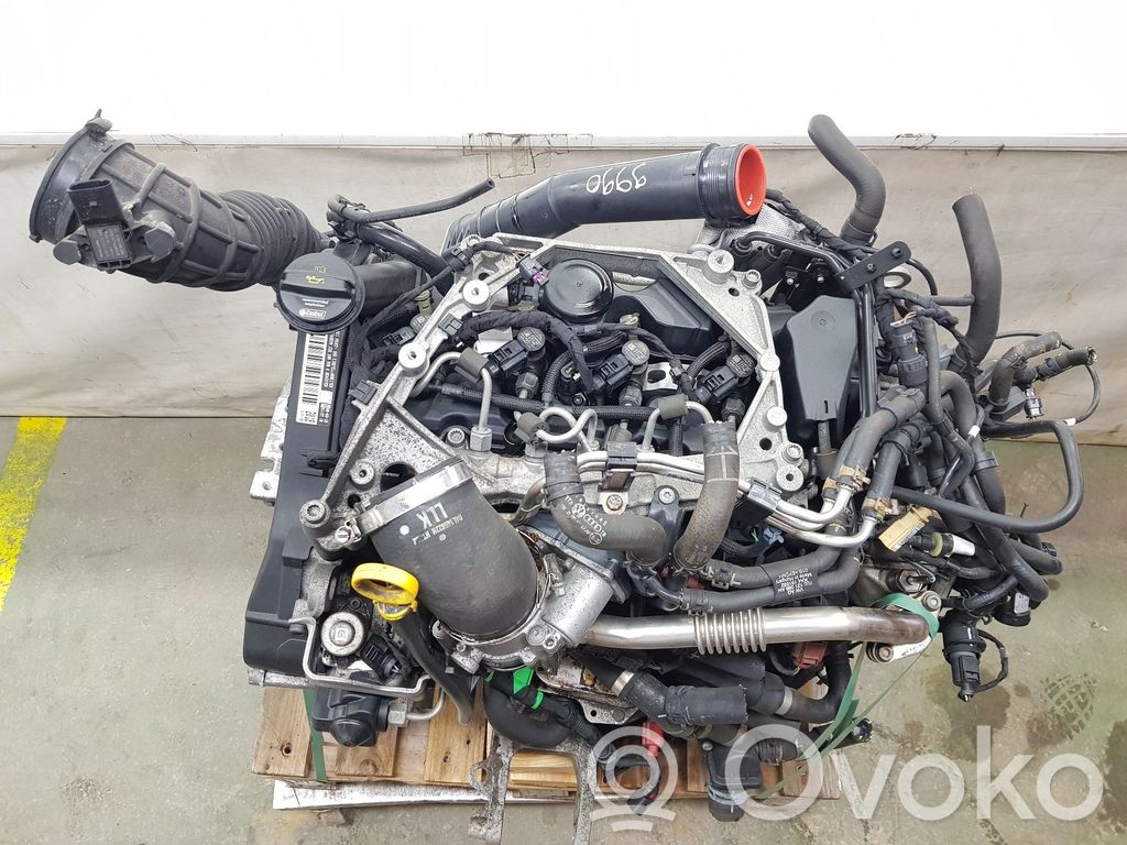Volkswagen Transporter - Caravelle T6 Motor 