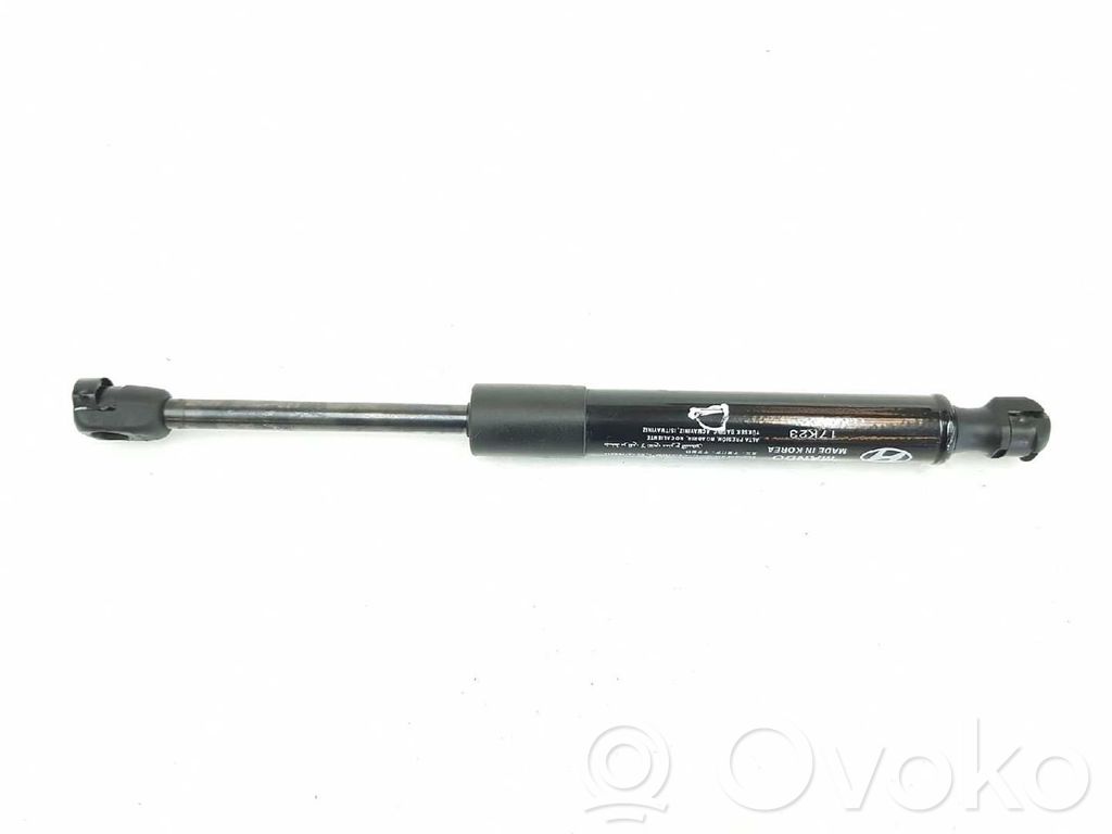 Hyundai Santa Fe Amortizor capotă motor 