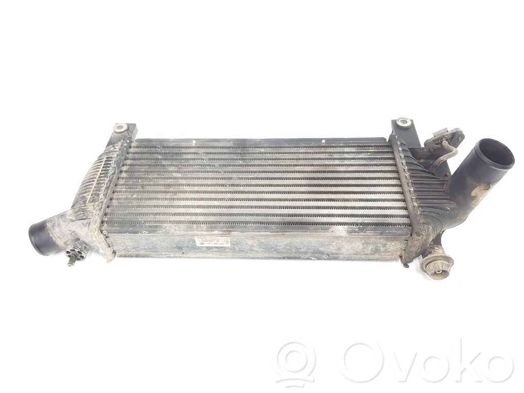 Nissan Pathfinder R51 Refroidisseur intermédiaire