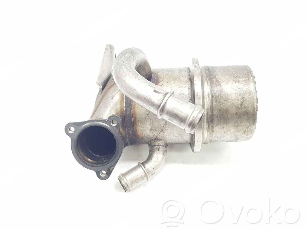 Volkswagen Tiguan Răcitor supapă EGR 