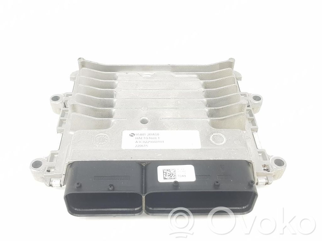 Unidad de control/módulo del motor   954412BAS0,954412BAS0