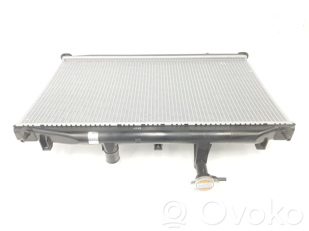 Radiator lichid răcire   253101E001,253101E001,2222DL
