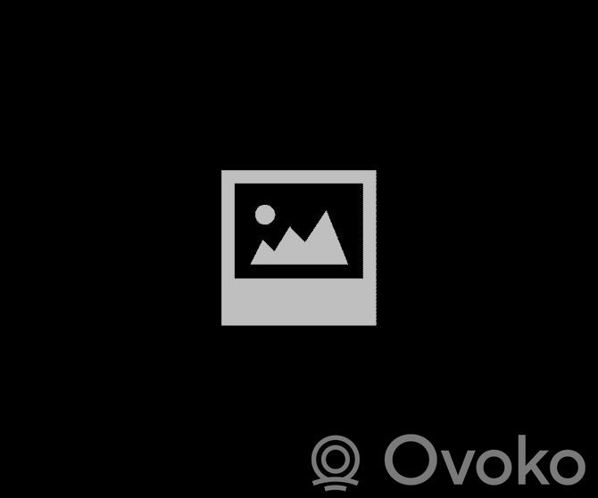 Listón   A1666980754