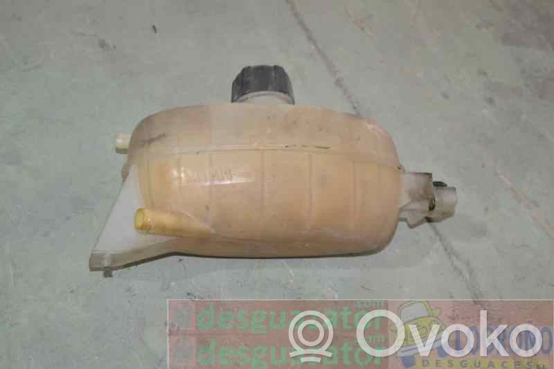 Renault Trafic II (X83) Coolant expansion tank/reservoir 