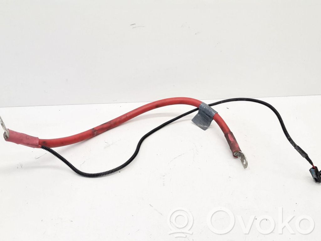 Cable positivo (batería)   6971214