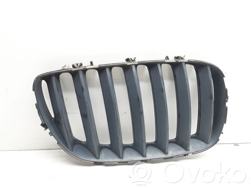 BMW X5 E53 Front bumper upper radiator grill 