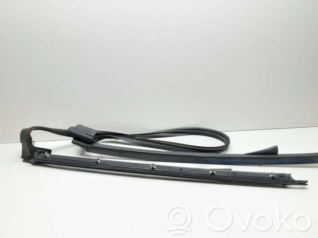 Windshield trim   7164997,51767164997