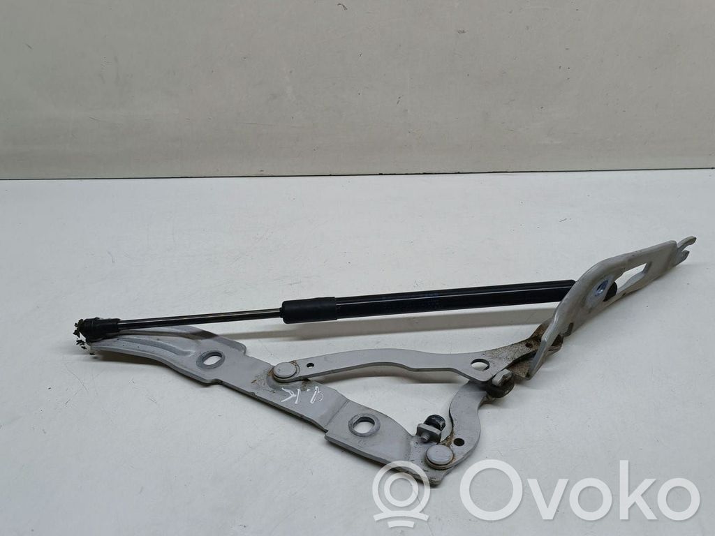 Tailgate/trunk/boot hinge   7166751