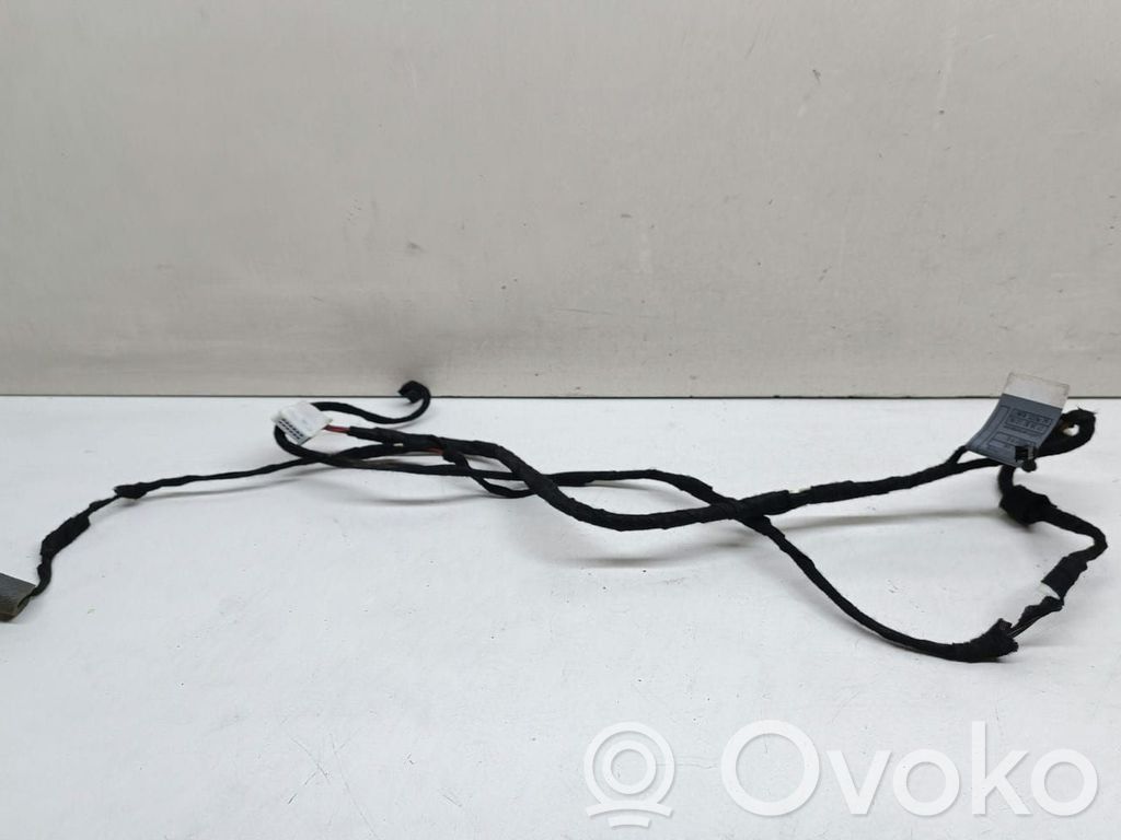 BMW 7 E65 E66 Cableado de puerta trasera 