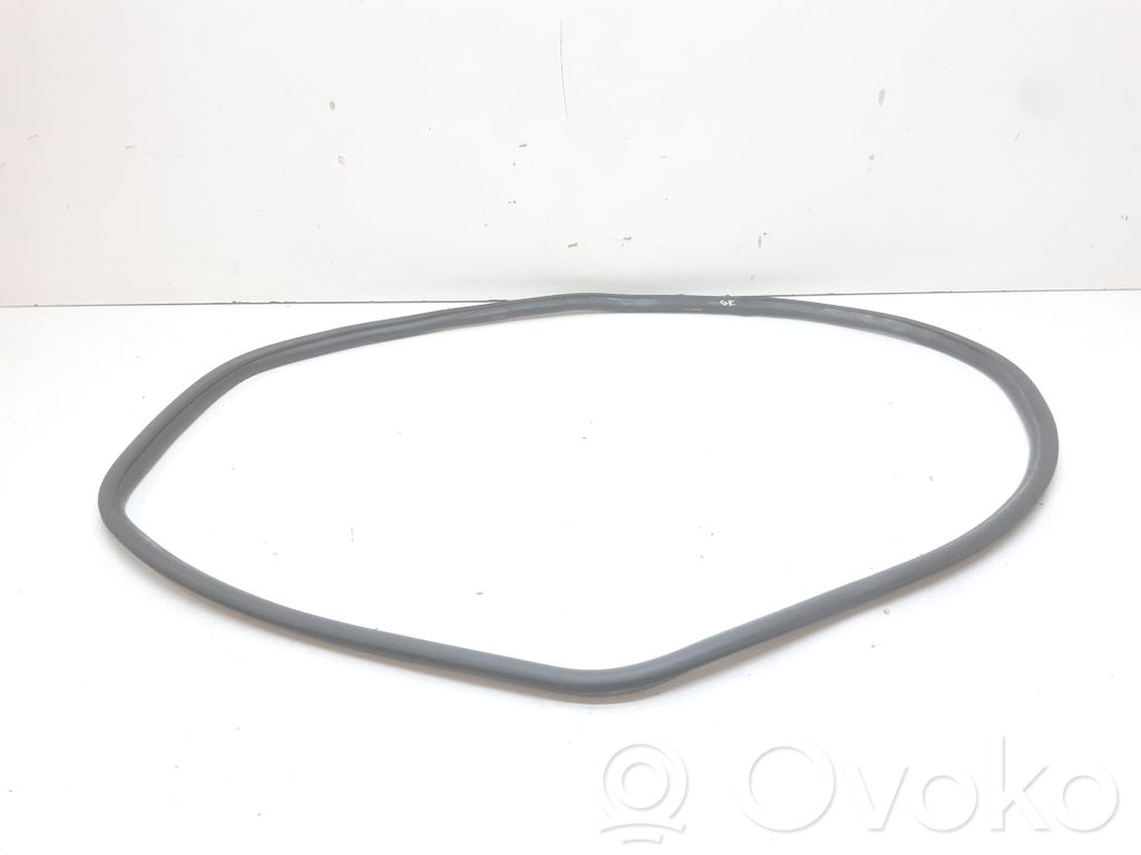 BMW 3 F30 F35 F31 Guarnizione in gomma portiera posteriore (sulla carrozzeria) 