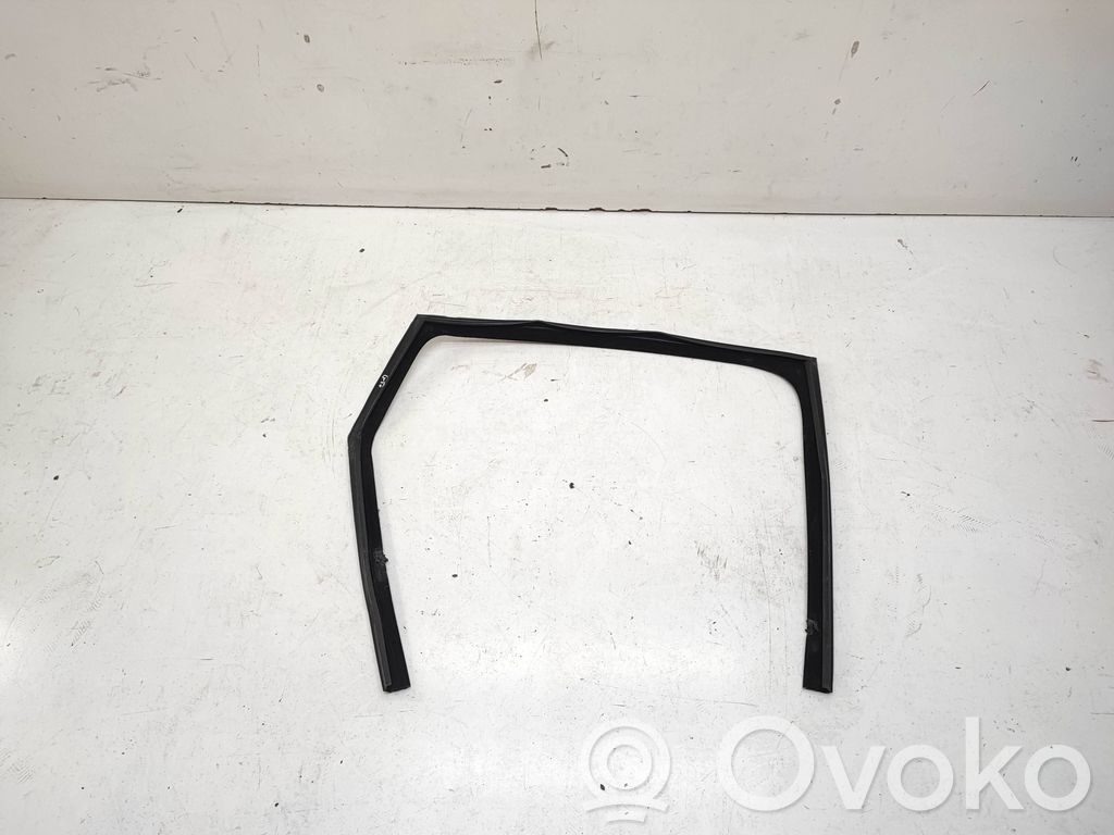 Land Rover Range Rover Sport L494 Gumowa uszczelka szyby drzwi tylnych 