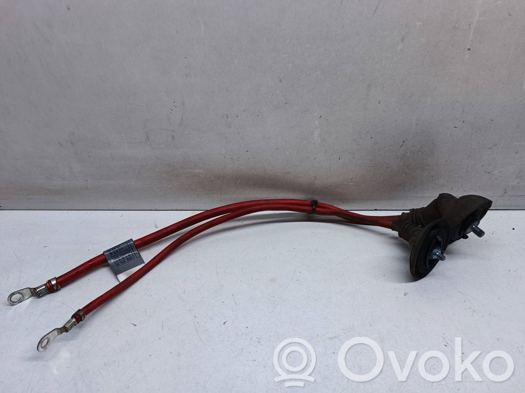 Cable positivo (batería)   6910543