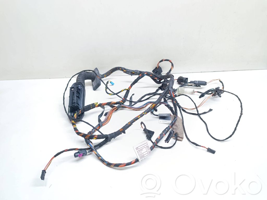 BMW X5 E70 Cableado de puerta delantera 