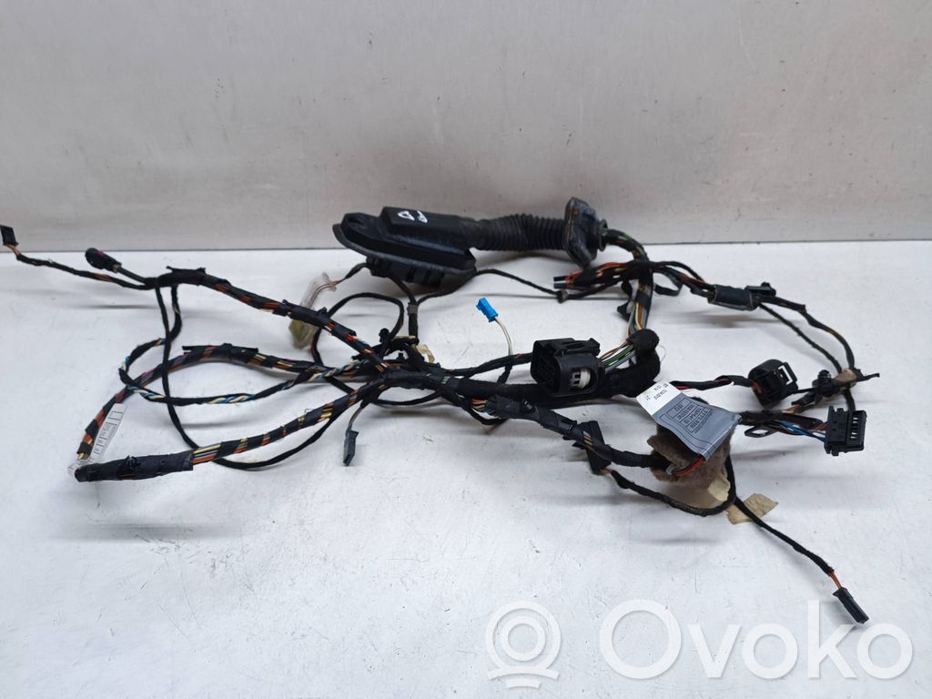 BMW X5 E70 Cableado de puerta delantera 