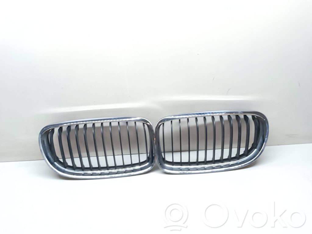 Kühlergrill   7201968,7201967