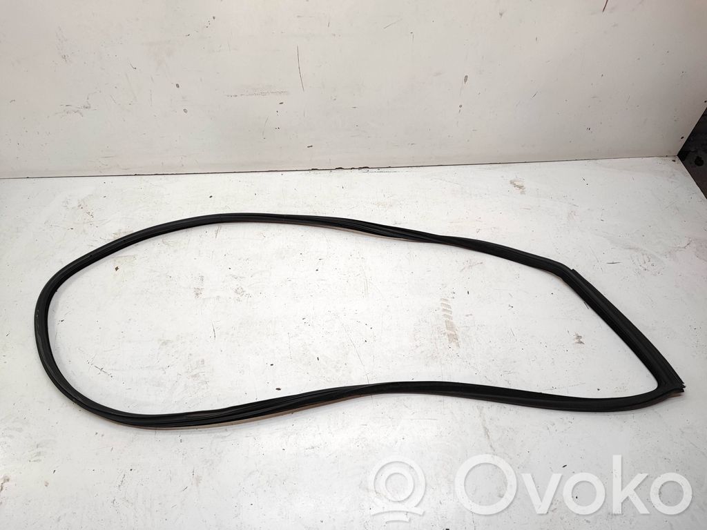 BMW 3 E92 E93 Front door rubber seal 