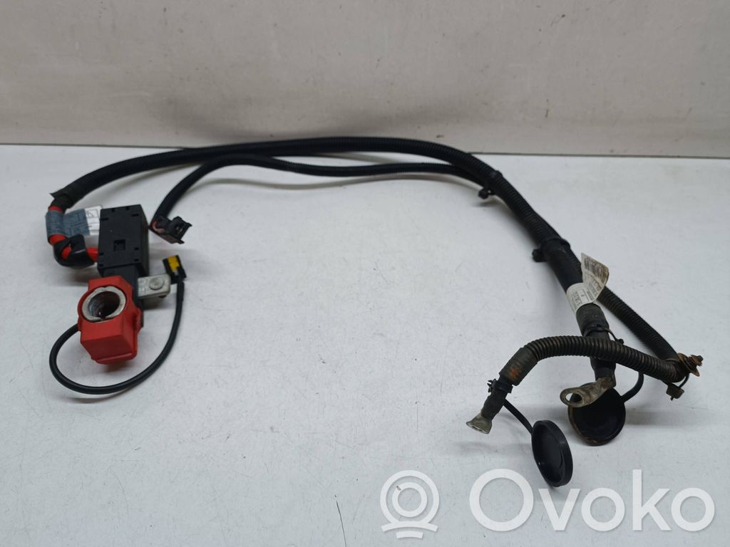 Plusa vads (akumulatora)   9130312