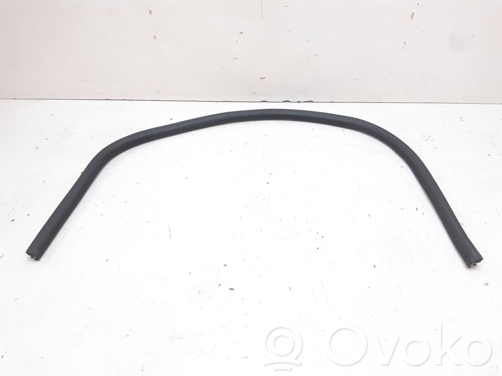 BMW 6 E63 E64 Gummidichtung Tür vorne 
