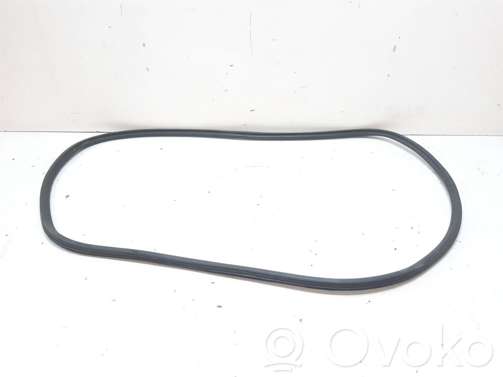 Audi A6 S6 C7 4G Front door rubber seal