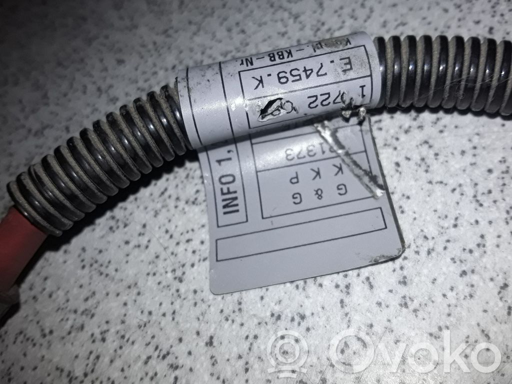 BMW 3 E46 Cables (alternador) 