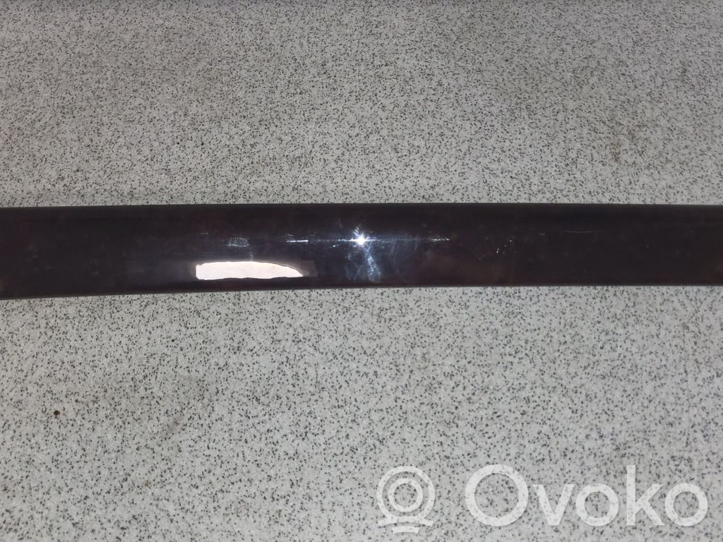 BMW 3 E46 Other rear door trim element 