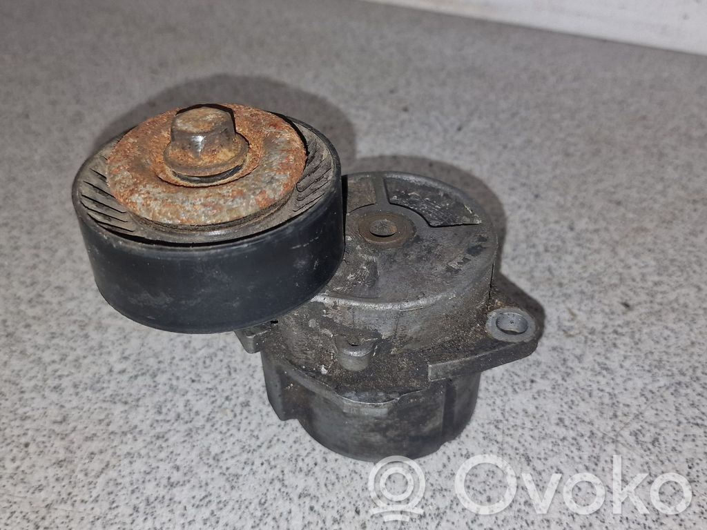 BMW 3 E36 Tensor de correa del alternador 