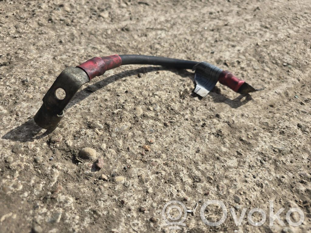 Positive cable (battery)   2247666,3SZ81CH0W09,F0265L6