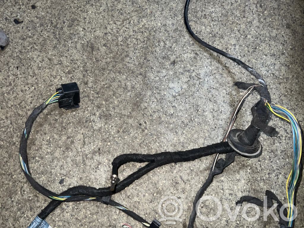Cableado de puerta delantera   6934096,EX13SA,10618125