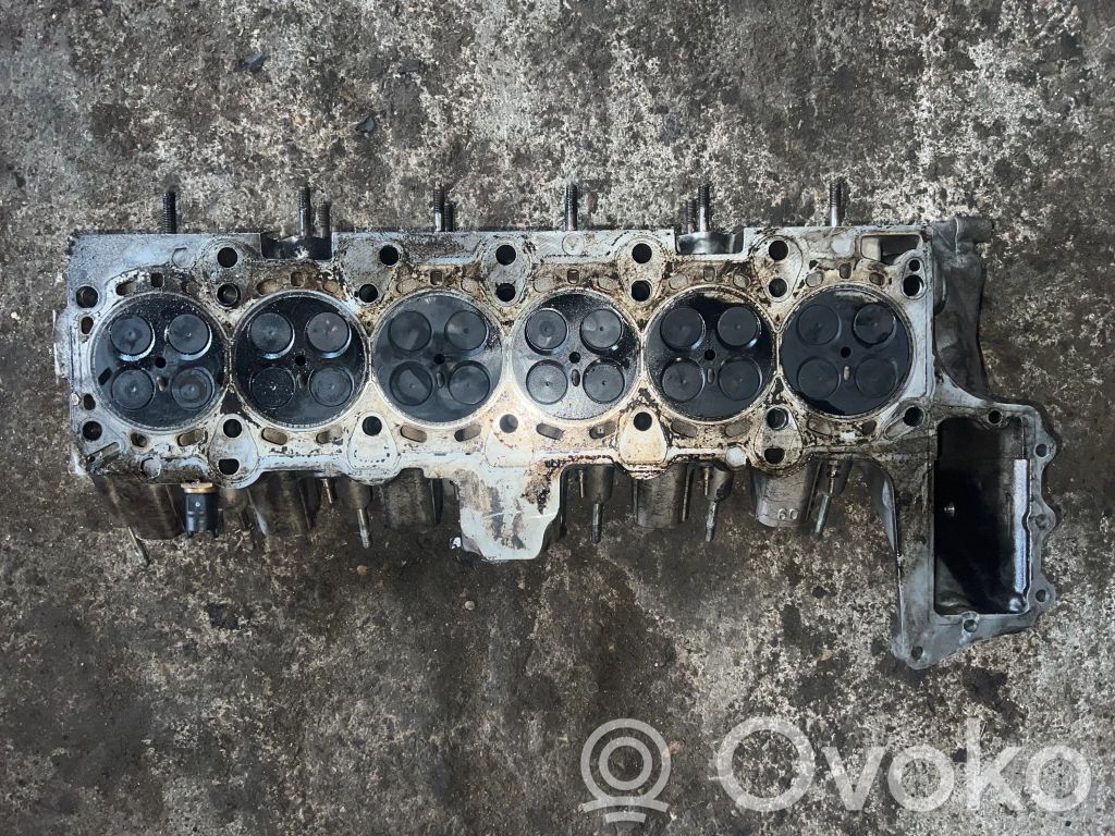 BMW 5 E39 Galva 