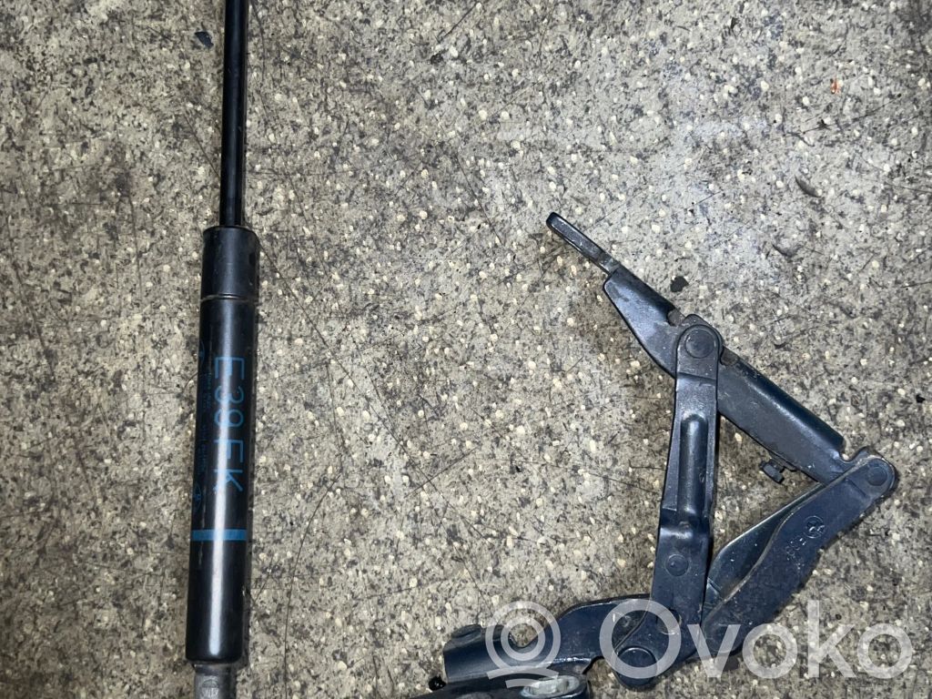BMW 5 E39 Engine bonnet/hood hinges 